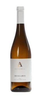 Muscaris - wino białe półwytrawne | Winnica Amelie