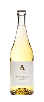 Musecco Bianco - wino musujące białe półwytrawne | Winnica Amelie