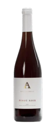 Pinot Noir - wino czerwone wytrawne | Winnica Amelie