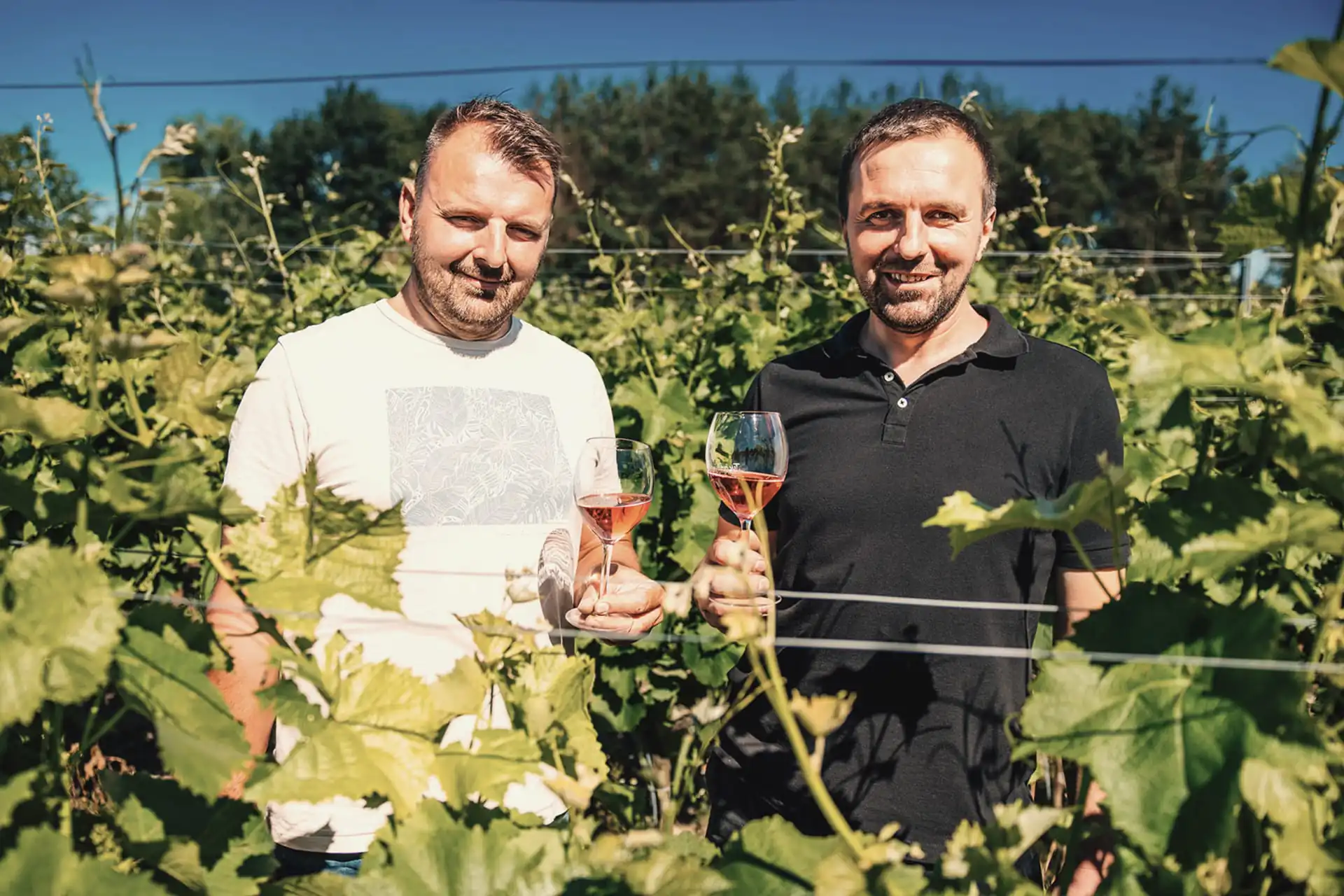Grzegorz i Wojciech Pachołowie z kieliszkami wina w winnicy